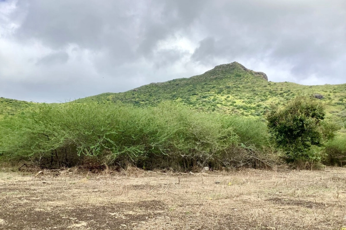 Terrain résidentiel de choix à Tamarin avec vues époustouflantes